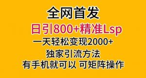 全网首发！日引800+精准老色批，一天变现2000+，独家引流方法，可矩阵操作【揭秘】| 鹿鸣网创