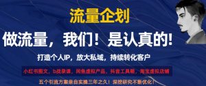 流量企划，打造个人IP，放大私域，持续转化客户【揭秘】| 鹿鸣网创