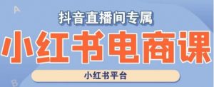 小红书电商高级运营课程,实操教学+案例分析| 鹿鸣网创