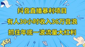 抖音直播暴利项目，有人30小时收入36万音浪，公司宣传片年会视频制作，抓住年底一波流量大红利【揭秘】| 鹿鸣网创