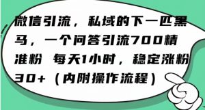 怎么搞精准创业粉?微信新赛道,每天一小时,利用Ai一个问答日引100精准粉| 鹿鸣网创