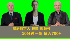 Ai生成双语数字人狂撸视频号,日入700+内附251G素材【揭秘】| 鹿鸣网创