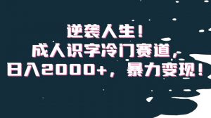 逆袭人生！成人识字冷门赛道，日入2000+，暴力变现！【揭秘】| 鹿鸣网创