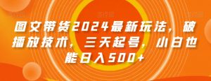 图文带货2024最新玩法，破播放技术，三天起号，小白也能日入500+【揭秘】| 鹿鸣网创