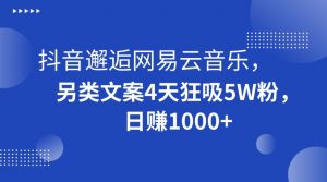 抖音邂逅网易云音乐，另类文案4天狂吸5W粉，日赚1000+【揭秘】| 鹿鸣网创