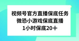 视频号直播任务，微恐小游戏，1小时20+【揭秘】| 鹿鸣网创