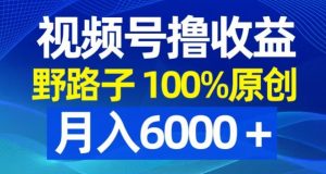 视频号野路子撸收益，100%原创，条条爆款，月入6000＋【揭秘】| 鹿鸣网创