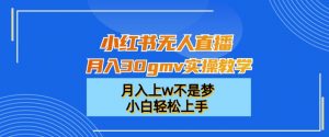 小红书无人直播月入30gmv实操教学,月入上w不是梦,小白轻松上手【揭秘】| 鹿鸣网创