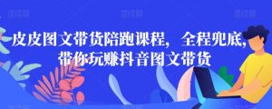 皮皮图文带货陪跑课程,全程兜底,带你玩赚抖音图文带货| 鹿鸣网创