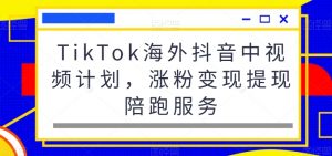 TikTok海外抖音中视频计划,涨粉变现提现陪跑服务| 鹿鸣网创
