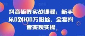 抖音矩阵实战课程：新手从0到100万粉丝，全套抖音变现实操| 鹿鸣网创