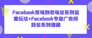 Facebook菜鸟到老鸟全系列运营玩法+Facebook专业广告投放全系列课程| 鹿鸣网创