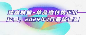 臻曦联盟-单品微付费正价起号，2024年1月最新课程| 鹿鸣网创