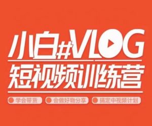 小呆说视–小白VLOG短视频训练营,学会带货、好物、直播、中视频| 鹿鸣网创