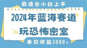 2024年蓝海赛道玩恐怖密室日入2000+，无需露脸，不要担心不会玩游戏，小白直接上手，保姆式教学【揭秘】| 鹿鸣网创