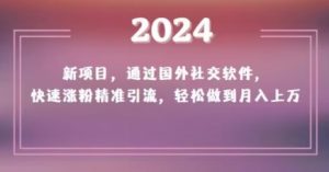 2024新项目,通过国外社交软件,快速涨粉精准引流,轻松做到月入上万【揭秘】| 鹿鸣网创
