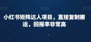 小红书矩阵达人项目，直接复制搬运，回报率非常高| 鹿鸣网创