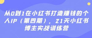 从0到1在小红书打造赚钱的个人IP（第四期），21天小红书博主实战训练营| 鹿鸣网创