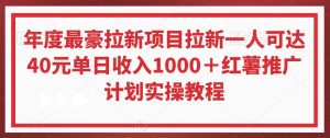 年度最豪拉新项目拉新一人可达40元单日收入1000+红薯推广计划实操教程【揭秘】| 鹿鸣网创