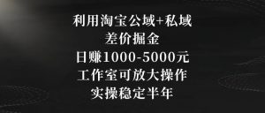 利用淘宝公域+私域差价掘金，日赚1000-5000元，工作室可放大操作，实操稳定半年【揭秘】| 鹿鸣网创