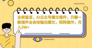 全网首发，AI公众号爆文插件，只需一款插件全自动输出爆文，矩阵操作，月入3W+【揭秘】| 鹿鸣网创