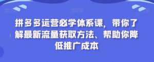 拼多多运营必学体系课,带你了解最新流量获取方法、帮助你降低推广成本| 鹿鸣网创