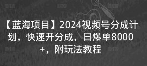 【蓝海项目】2024视频号分成计划,快速开分成,日爆单8000+,附玩法教程| 鹿鸣网创