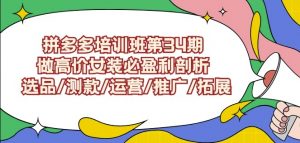 拼多多培训班第34期：做高价女装必盈利剖析选品/测款/运营/推广/拓展| 鹿鸣网创