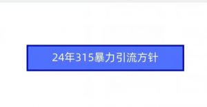 24年315暴力引流方针| 鹿鸣网创