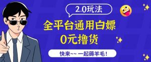 外面收费2980的全平台通用白嫖撸货项目2.0玩法【仅揭秘】| 鹿鸣网创