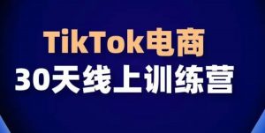 TikTok电商带货30天线上课,不可错过的全球流量洼地!| 鹿鸣网创