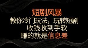 短剧风暴,教你冷门玩法,玩转短剧,收钱收到手软【揭秘】| 鹿鸣网创