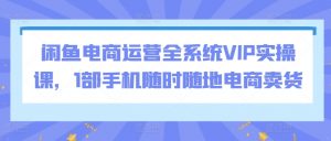 闲鱼电商运营全系统VIP实操课，1部手机随时随地电商卖货| 鹿鸣网创