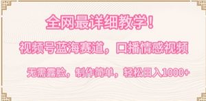 全网最详细教学，视频号蓝海赛道，口播情感视频，无需露脸，制作简单，轻松实现日入1000+【揭秘】| 鹿鸣网创