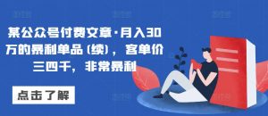 某公众号付费文章·月入30万的暴利单品(续)，客单价三四千，非常暴利| 鹿鸣网创