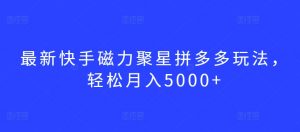 最新快手磁力聚星拼多多玩法，轻松月入5000+【揭秘】| 鹿鸣网创