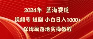 2024年视频号短剧新玩法小白日入1000+保姆级落地实操教程【揭秘】| 鹿鸣网创