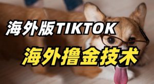 抖音海外版tiktok撸金技术，这个风口行业，赚钱真的不难【揭秘】| 鹿鸣网创