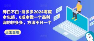 拼多多2024零成本包起,0成本做一个高利润的拼多多,方法不只一个| 鹿鸣网创