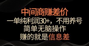 中间商赚差价，一单纯利润30+，简单无脑操作，赚的就是信息差，轻轻松松日入1000+【揭秘】| 鹿鸣网创