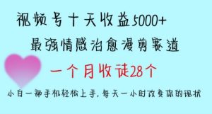十天收益5000+,多平台捞金,视频号情感治愈漫剪,一个月收徒28个,小白一部手机轻松上手【揭秘】| 鹿鸣网创