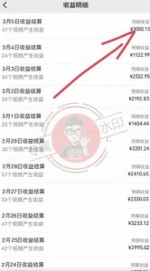 【蓝海项目】视频号创作分成计划,24年最新热门玩法,单天收益破8000+!【揭秘】| 鹿鸣网创