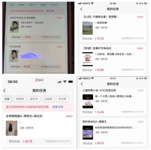 2024年3月最新，快手磁力聚星全流程实操教学，8台手机日均收益稳定100~200元【揭秘】| 鹿鸣网创