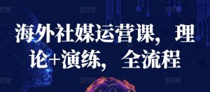 海外社媒运营课,理论+演练,全流程| 鹿鸣网创