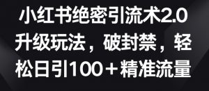 小红书绝密引流术2.0升级玩法,破封禁,轻松日引100+精准流量【揭秘】| 鹿鸣网创