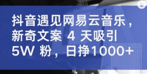 抖音遇见网易云音乐，新奇文案 4 天吸引 5W 粉，日挣1000+【揭秘】| 鹿鸣网创