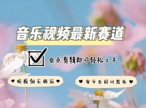 音乐视频赛道最新玩法，纯原创不违规，可所有平台同时发布，会点剪辑即可轻松拿捏【揭秘】| 鹿鸣网创