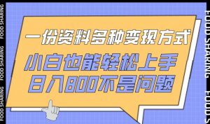 一份资料多种变现方式,小白也能轻松上手,日入800不是问题【揭秘】| 鹿鸣网创