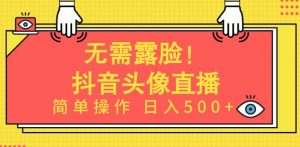 无需露脸,Ai头像直播项目,简单操作日入500+【揭秘】| 鹿鸣网创