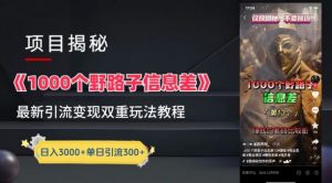 一千个野路子信息差最新玩法教程-变现+引流的玩法具体拆解【揭秘】| 鹿鸣网创